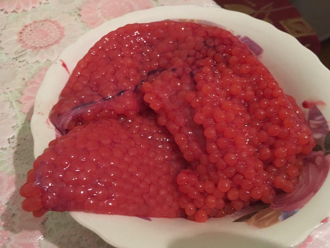 Летом и на север? Тур на Охотское море